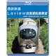 西武鉄道 Laview 往復運転席展望 池袋駅～西武秩父駅(往復) 4K撮影作品 [Blu-ray Disc]