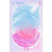 蜘蛛 [単行本]