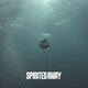 われらがプワプワプーワプワ／SPIRITED AWAY