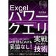 Excelパワークエリ実戦のための技術―データの取得、行・列操作によるデータ処理から、モデリング、let式、DAXクエリまで完全解説! [単行本]