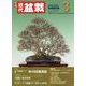 近代盆栽 2024年 03月号 [雑誌]