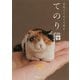 羊毛フェルトで作るてのり猫―TENORINEKO〈12〉 [単行本]