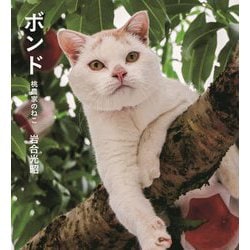 ボンド 桃農家のねこ―岩合光昭の世界ネコ歩き(IWAGO'S BOOK〈9〉) [単行本]