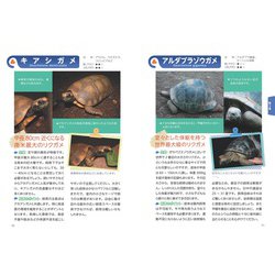 ヨドバシ.com - もっと知りたい リクガメのこと 幸せに暮らす 飼い方