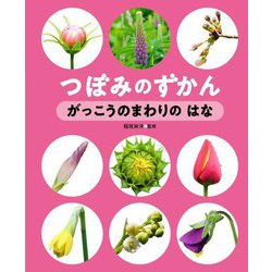 つぼみのずかん〈1〉がっこうのまわりのはな [全集叢書]