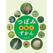 つぼみ実物大ずかん [図鑑]