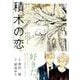 積木の恋(Canna Comics) [コミック]