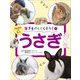 生きものとくらそう!〈3〉うさぎ―はじめてでも安心 [全集叢書]