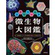 ミクロワールド微生物大図鑑―電子顕微鏡でさぐる単細胞生物の不思議な世界 [単行本]
