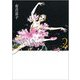 SWAN ―白鳥― 愛蔵版 第2巻（SWAN特装シリーズ） [コミック]
