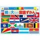 絵の大きな国旗ずかん [単行本]