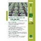 最新農業技術野菜〈vol.16〉特集キャベツ・ブロッコリーの生理,品種,栽培 [全集叢書]