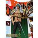 ONE PIECE ワンピース 20THシーズン ワノ国編 PIECE.53 [DVD]