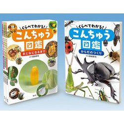 くらべてわかる！こんちゅう図鑑（全4巻） [単行本]