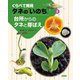 くらべて発見 タネの「いのち」〈2〉台所からのタネと芽ばえ [絵本]