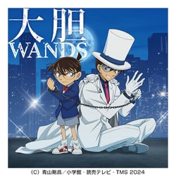 WANDS／大胆