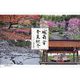 城南宮春夏秋冬 [単行本]