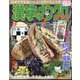 漢字のナンクロプレゼント 2024年 03月号 [雑誌]