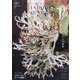INDOOR JUNGLE 2024年 04月号 [雑誌]