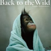 Back to the Wild―森を失ったオランウータン [単行本]
