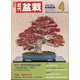 近代盆栽 2024年 04月号 [雑誌]