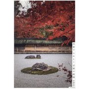 美術でよみとく京都の庭園 [単行本]