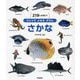 ひとりでよめるずかん さかな―219しゅるい! [図鑑]