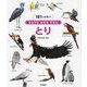 ひとりでよめるずかん とり―181しゅるい! [図鑑]