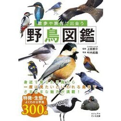 散歩や旅先で出会う野鳥図鑑―オールカラー300点(ビジュアルだいわ文庫) [文庫]