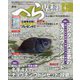 月刊 へら専科 2024年 04月号 [雑誌]