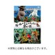 ムーミンパパの思い出 [DVD]