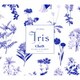 ClariS／Iris