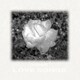 和泉宏隆／Hirotaka Izumi Covers Love Songs～Remastered Edition～