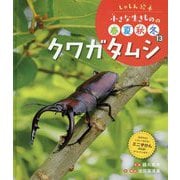 クワガタムシ(しゃしん絵本 小さな生きものの春夏秋冬〈13〉) [単行本]
