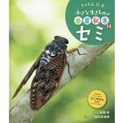 セミ(しゃしん絵本 小さな生きものの春夏秋冬〈14〉) [単行本]