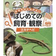 カナヘビ(生きものとなかよし はじめての飼育・観察〈3〉) [単行本]