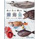 釣って食べて調べる深海魚(たくさんのふしぎ傑作集) [絵本]