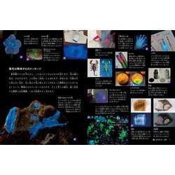 ヨドバシ.com - 月刊 たくさんのふしぎ 2024年 08月号 [雑誌