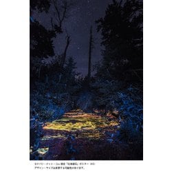 月刊たくさんのふしぎ 18冊まとめて 51ytZRLDXKL.jpg_BO30,255,255,