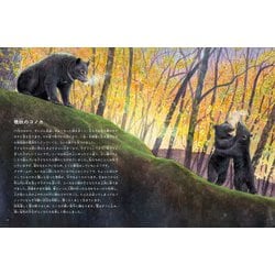 ヨドバシ.com - 月刊 たくさんのふしぎ 2024年 11月号 [雑誌