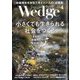 Wedge(ウエッジ) 2024年 04月号 [雑誌]