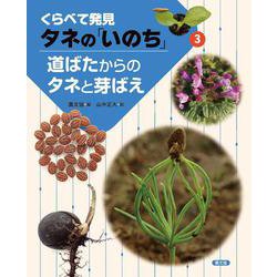 道ばたからのタネと芽ばえ(くらべて発見　タネの「いのち」<3>) [絵本]