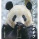 シャンシャンの雪あそび [単行本]