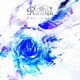 Roselia／Fur immer