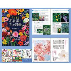 調べて楽しむ!身近な草花図鑑セット [単行本]