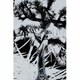 Plastic Tree／Plastic Tree