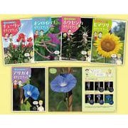 花をそだててじーっとかんさつセット [全集叢書]