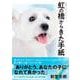 虹の橋からきた手紙―新堂ファミリープロデュース [単行本]