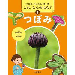 つぼみ・みとたね・はっぱ　これ、なんのはな？　①つぼみ [全集叢書]