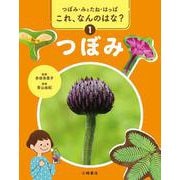 つぼみ・みとたね・はっぱ　これ、なんのはな？　①つぼみ [全集叢書]